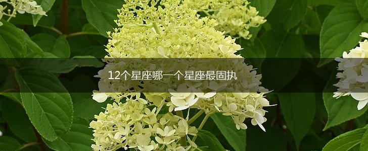 12个星座哪一个星座最固执,第1张