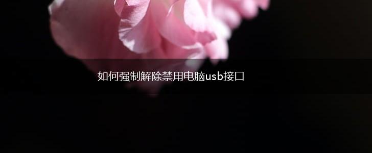 如何强制解除禁用电脑usb接口,第1张