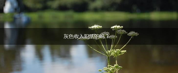 灰色收入犯法的吗？,第1张
