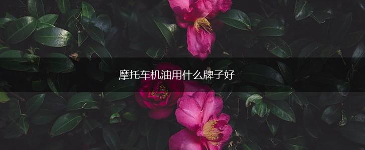 摩托车机油用什么牌子好,第1张