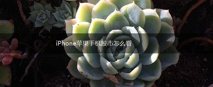 iPhone苹果手机股市怎么看,第1张