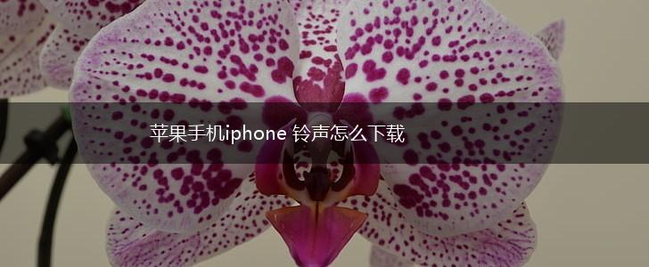 苹果手机iphone 铃声怎么下载,第1张