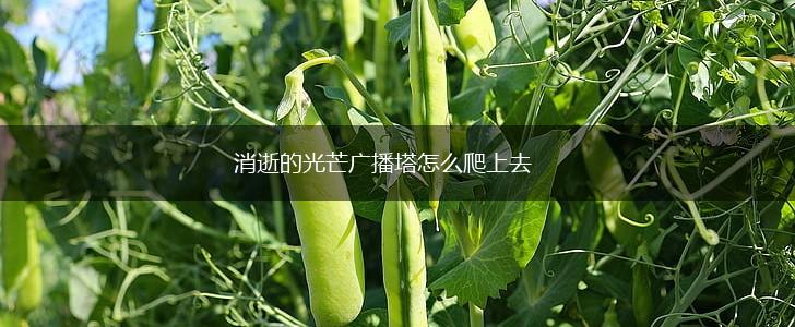 消逝的光芒广播塔怎么爬上去,第1张