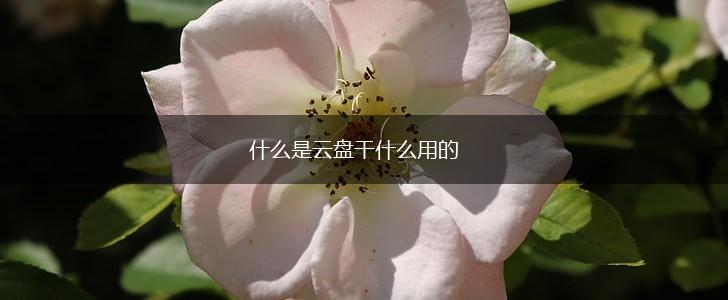 什么是云盘干什么用的,第1张