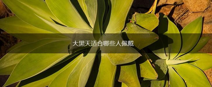 大黑天适合哪些人佩戴,第1张