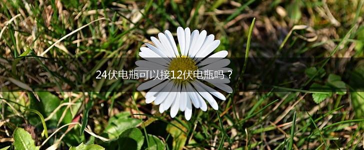 24伏电瓶可以接12伏电瓶吗？,第1张