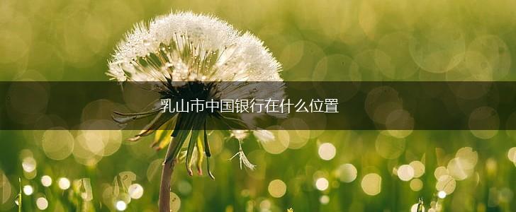 乳山市中国银行在什么位置,第1张