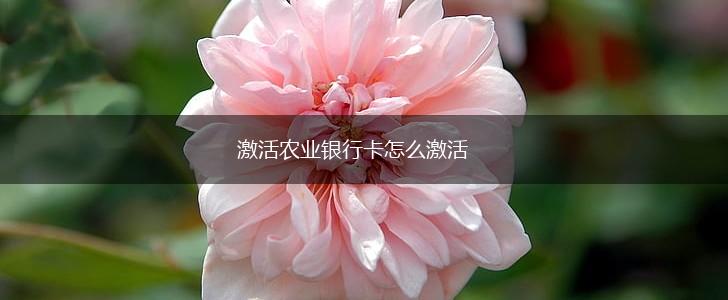 激活农业银行卡怎么激活,第1张