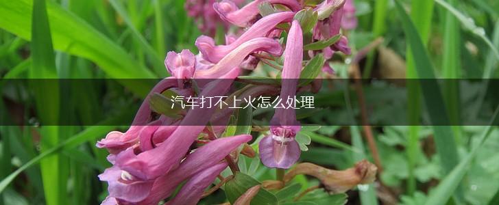 汽车打不上火怎么处理,第1张