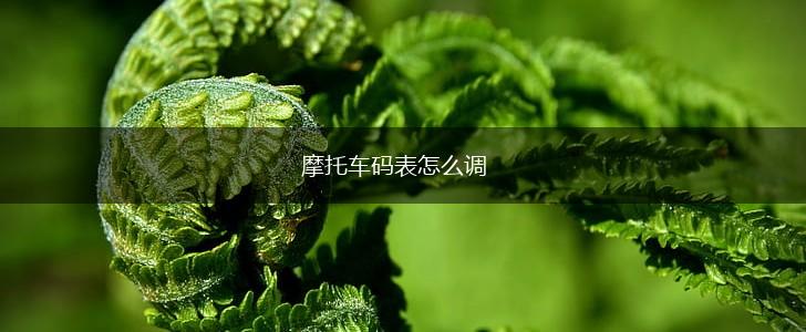 摩托车码表怎么调,第1张