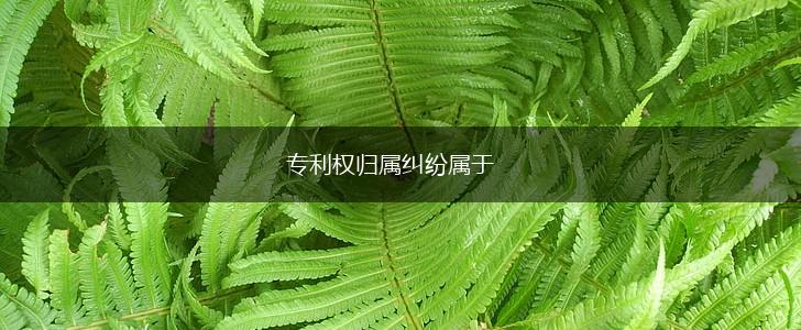 专利权归属纠纷属于,第1张