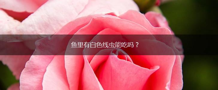 鱼里有白色线虫能吃吗？,第1张