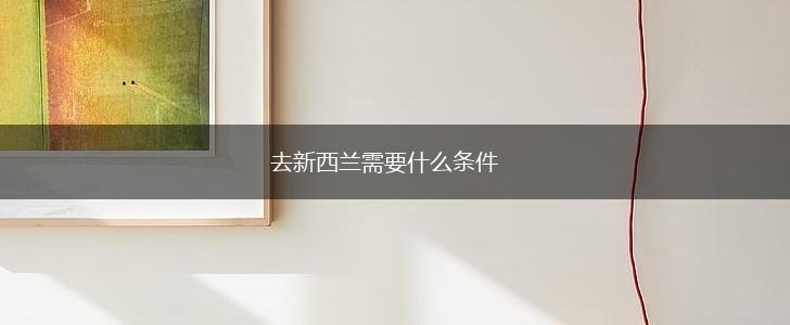 去新西兰需要什么条件,第1张