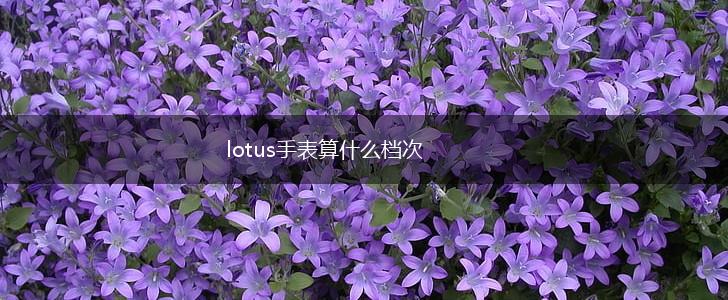 lotus手表算什么档次,第1张
