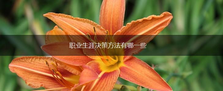 职业生涯决策方法有哪一些,第1张