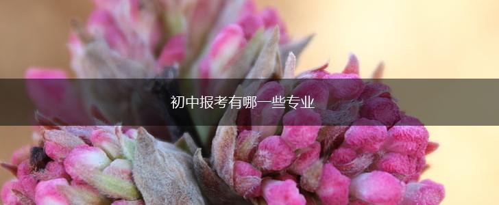 初中报考有哪一些专业,第1张