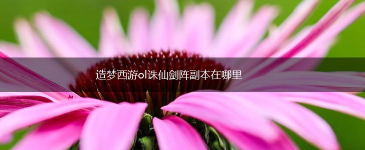 造梦西游ol诛仙剑阵副本在哪里,第1张