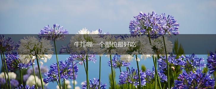 牛排哪一个部位最好吃,第1张