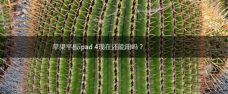 苹果平板ipad 4现在还能用吗？,第1张