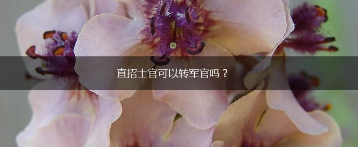 直招士官可以转军官吗？,第1张