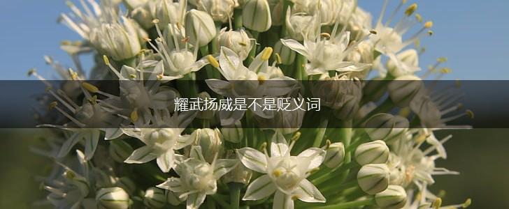 耀武扬威是不是贬义词,第1张