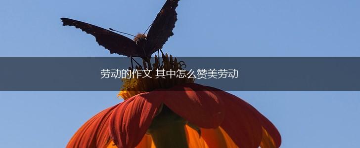 劳动的作文 其中怎么赞美劳动,第1张