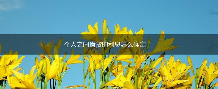 个人之间借贷的利息怎么确定,第1张