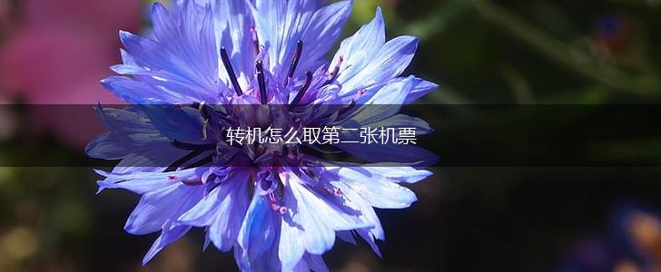 转机怎么取第二张机票,第1张
