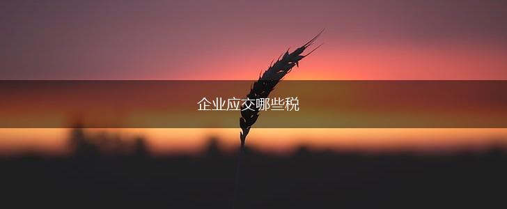 企业应交哪些税,第1张