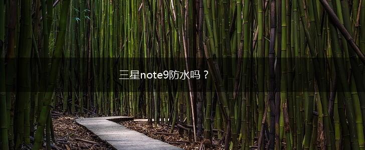 三星note9防水吗？,第1张
