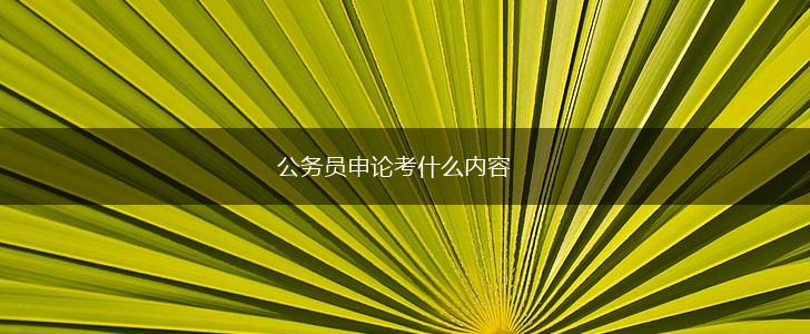 公务员申论考什么内容,第1张
