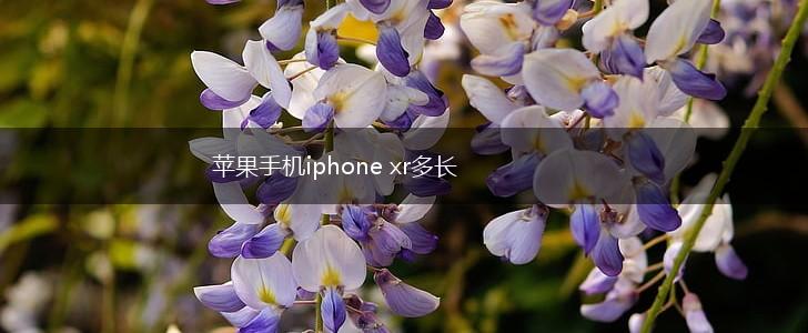 苹果手机iphone xr多长,第1张