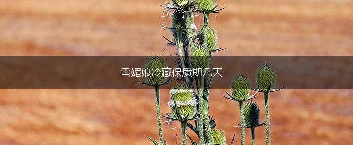 雪媚娘冷藏保质期几天,第1张
