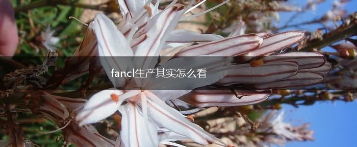 fancl生产其实怎么看,第1张
