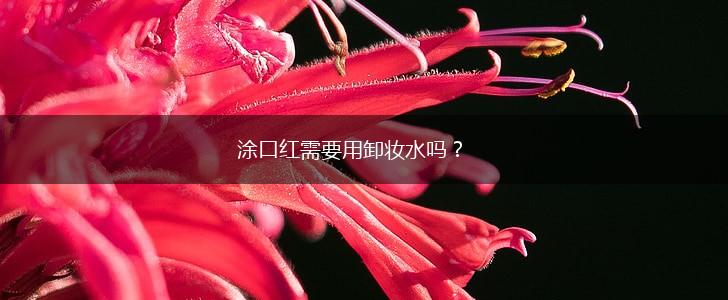 涂口红需要用卸妆水吗？,第1张