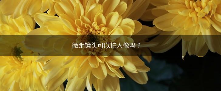 微距镜头可以拍人像吗？,第1张
