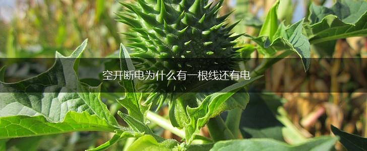 空开断电为什么有一根线还有电,第1张