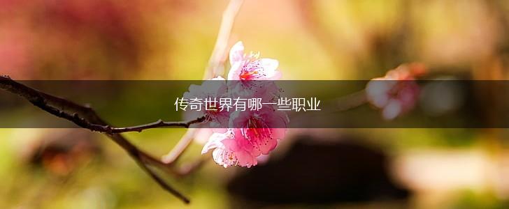 传奇世界有哪一些职业,第1张