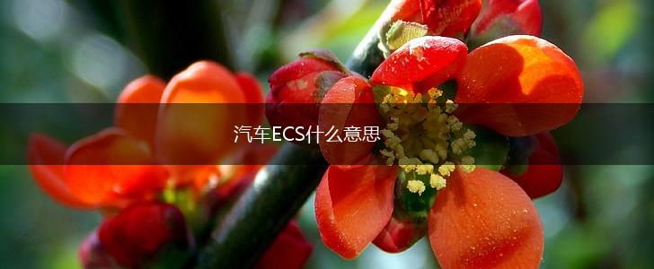 汽车ECS什么意思,第1张