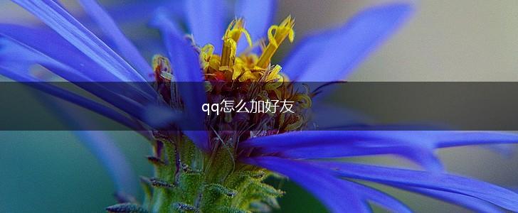 qq怎么加好友,第1张 qq怎么加好友,第1张