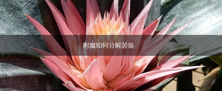 附魔如何分解装备,第1张
