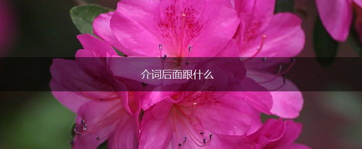 介词后面跟什么,第1张