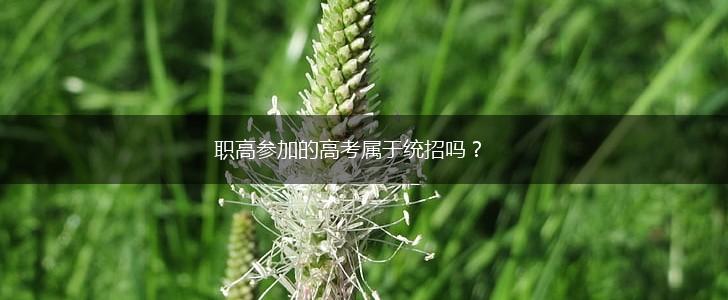 职高参加的高考属于统招吗？,第1张