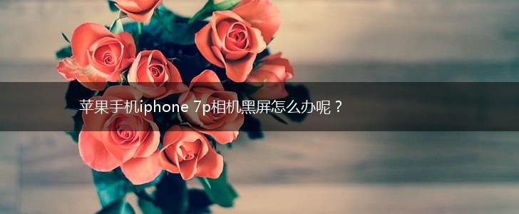 苹果手机iphone 7p相机黑屏怎么办呢？,第1张