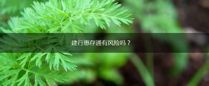 建行惠存通有风险吗？,第1张