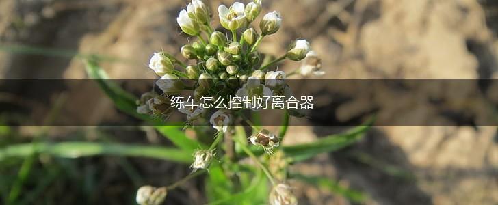 练车怎么控制好离合器,第1张