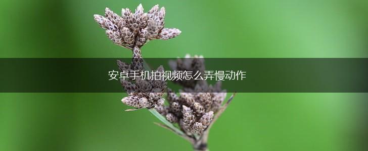 安卓手机拍视频怎么弄慢动作,第1张