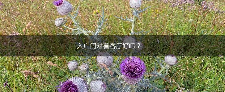 入户门对着客厅好吗？,第1张