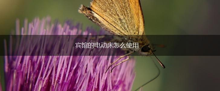 宾馆的电动床怎么使用,第1张