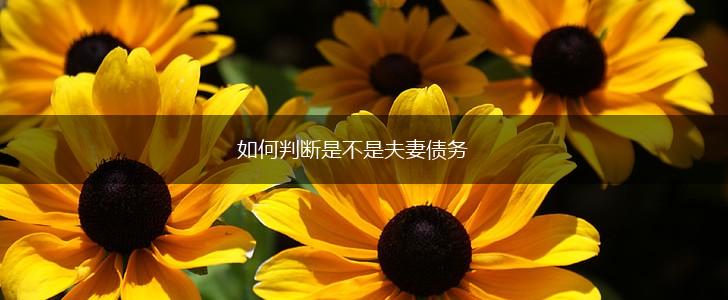 如何判断是不是夫妻债务,第1张